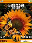Download mobile theme butterflythm