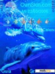 Download mobile theme animated dolphins Ana76