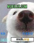 Download mobile theme Nosiey Dog ( With Multi Colours )
