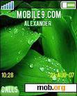 Download mobile theme Dark-Green SE