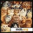 Download mobile theme Cats