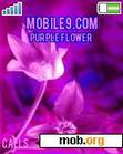 Download mobile theme PURPLE FLOWER