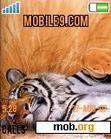 Download mobile theme TIGER