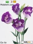 Download mobile theme purple flower in beauty