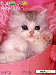 Download mobile theme Pink Kitties