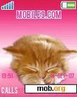 Download mobile theme CAT animated