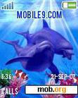 Download mobile theme DOLPHIN animated