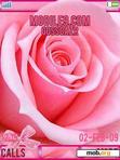 Download mobile theme pink rose
