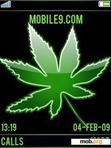 Download mobile theme Weed