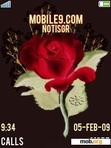 Download mobile theme Red Rose