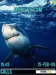 Download mobile theme The Shark