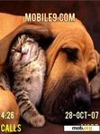 Download mobile theme best friends