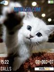 Download mobile theme cat