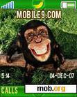 Download mobile theme monkey