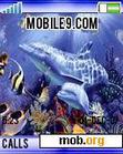 Download mobile theme aquarium