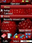 Download mobile theme Tameshk