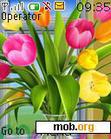 Download mobile theme Nice Flower by shawan 01913505571