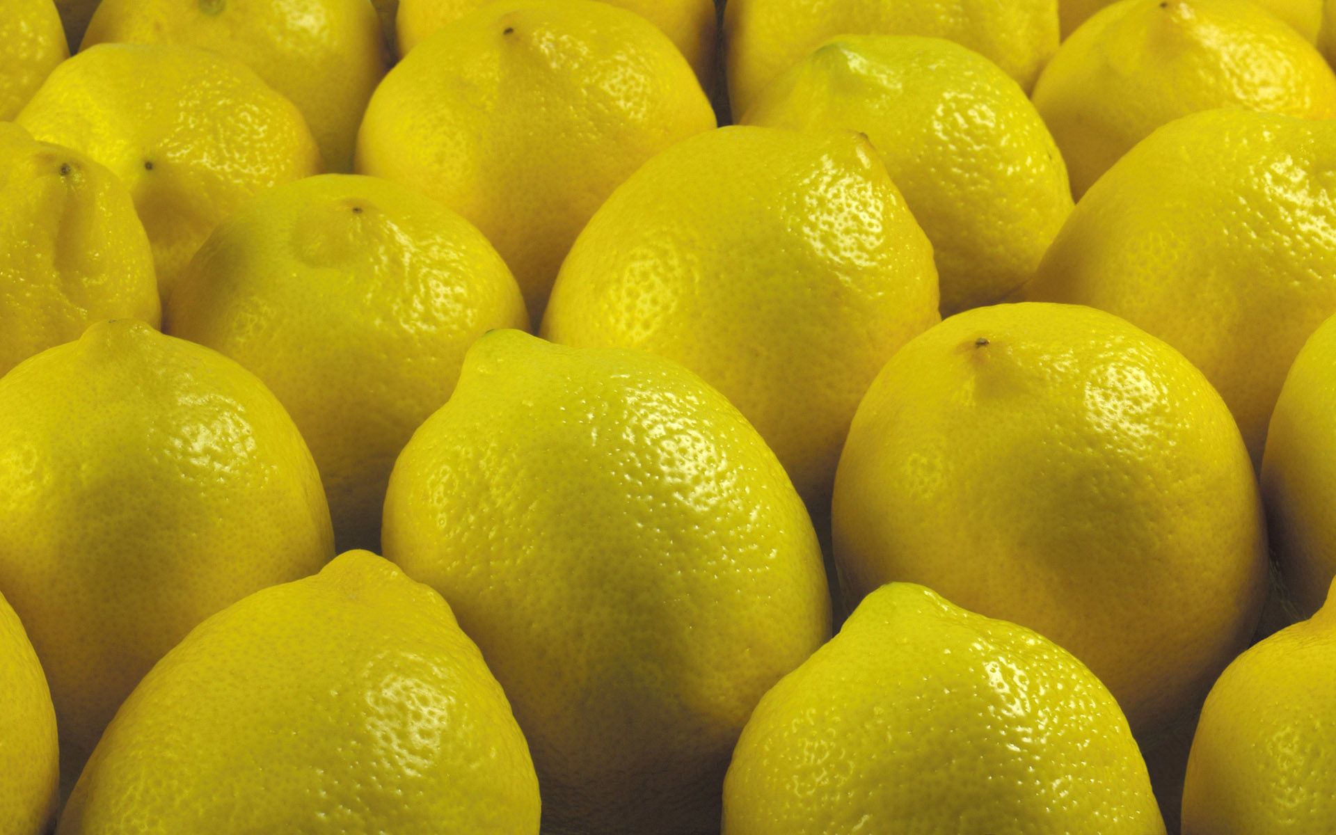 Desktop HD wallpaper: Food, Lemon, Fruit free download background picture #...