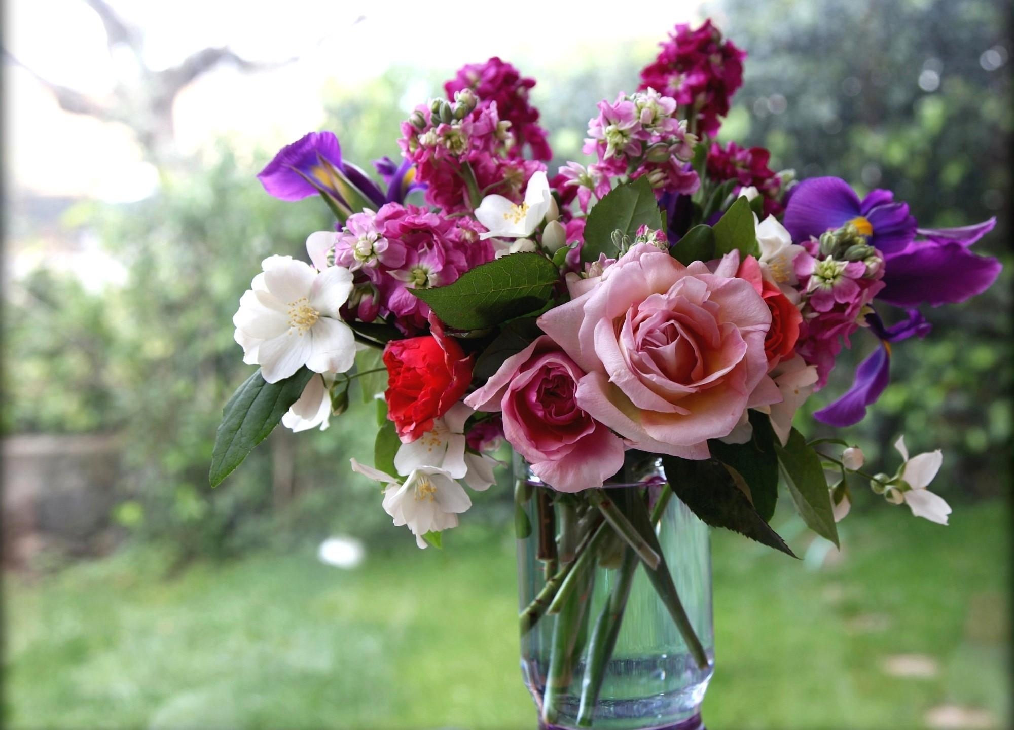 Phone wallpaper: Flowers, Roses, Bouquet, Window, Vase, Jasmine free downlo...
