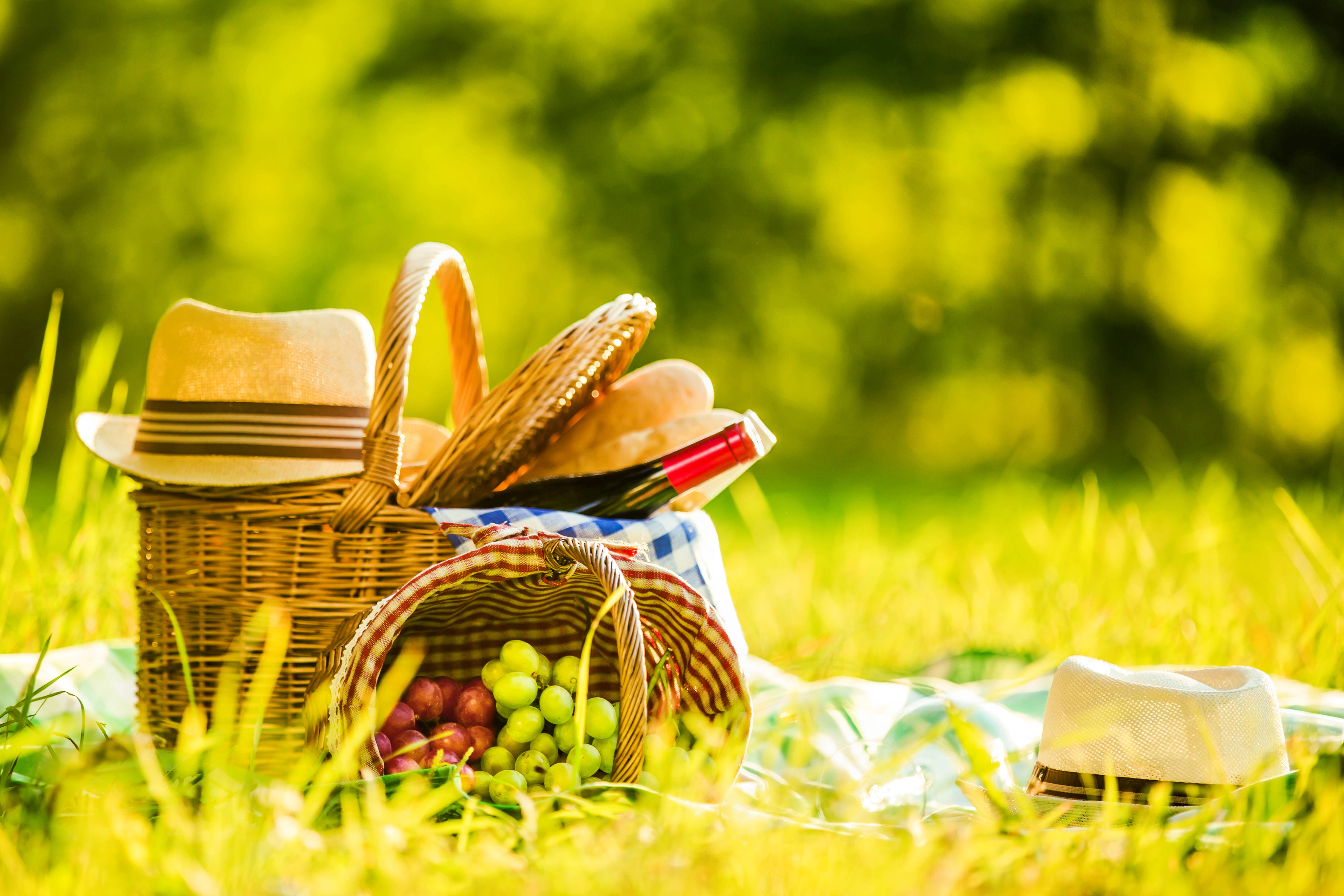 Images Of A Picnic