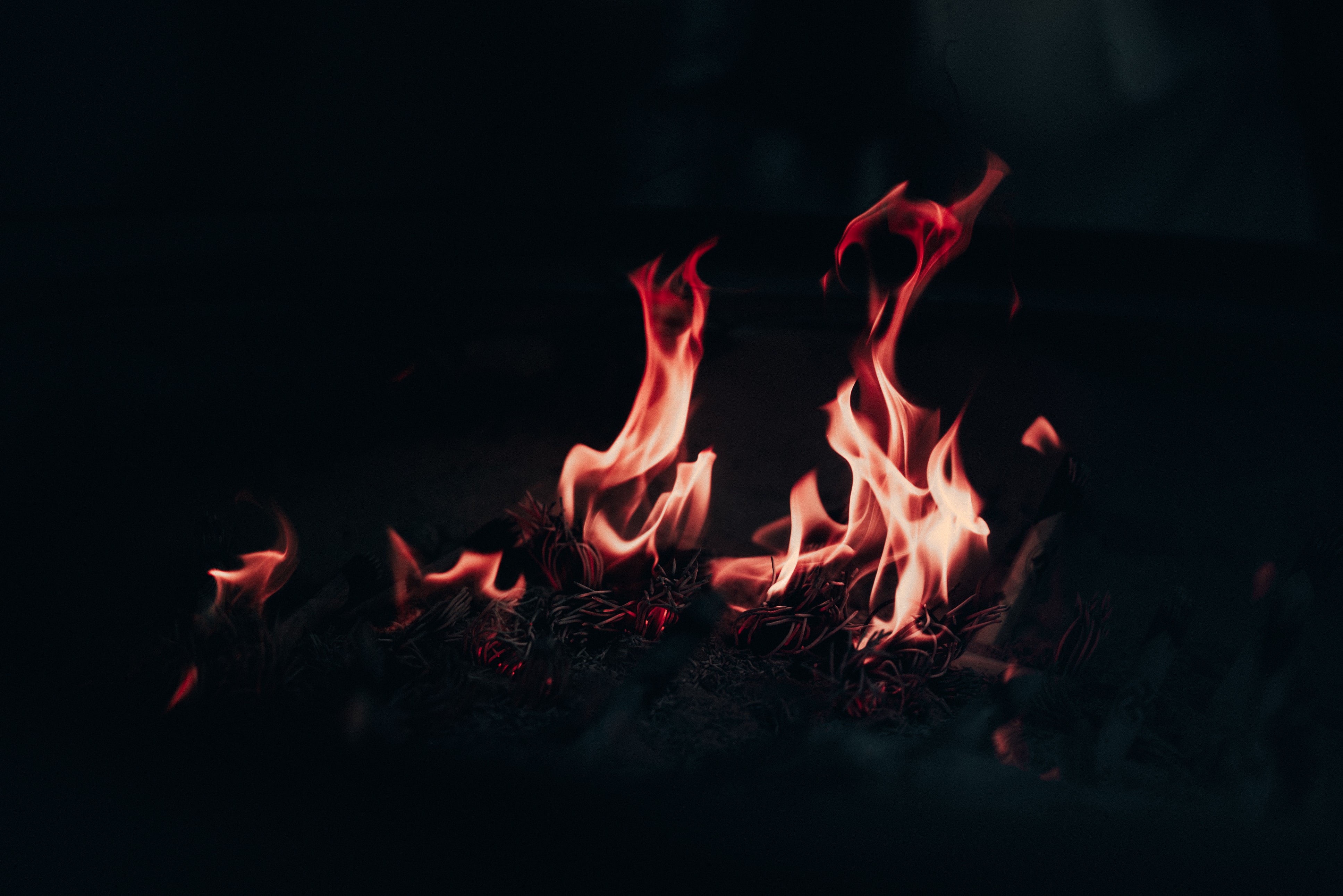 Desktop HD wallpaper: Fire, Bonfire, Night, Dark, Flame, To Burn, Burn free...