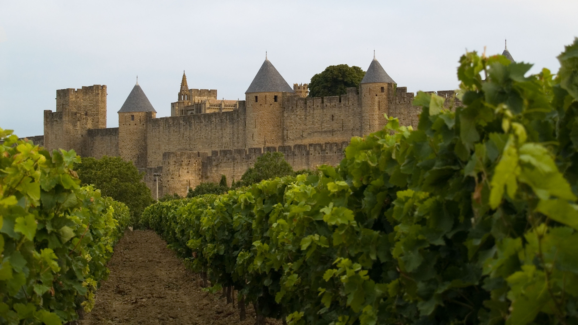 Крепость Каркассон во Франции всемирное наследие