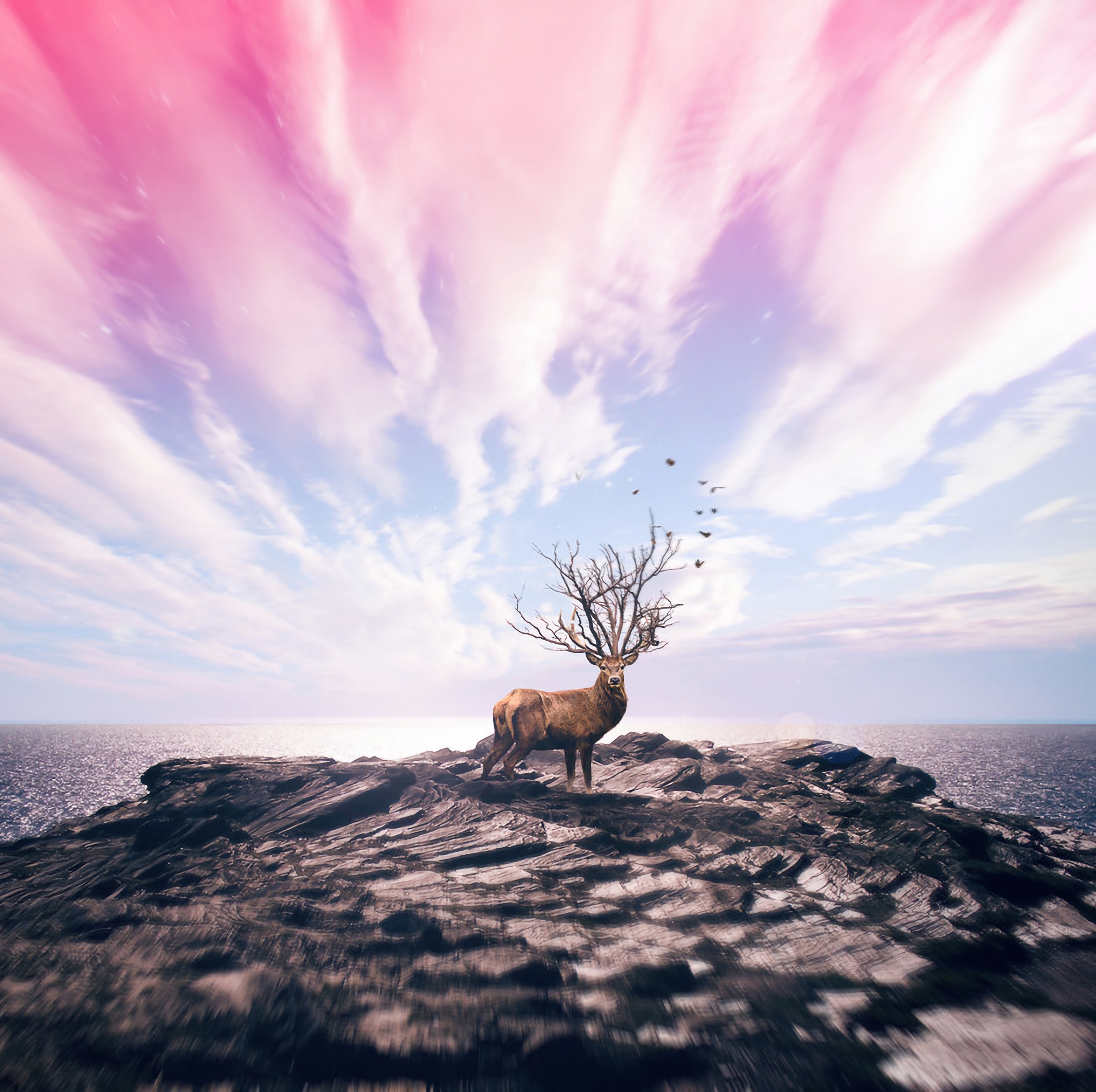 Desktop HD wallpaper: Sky, Art, Sea, Shore, Bank, Photoshop, Deer free down...