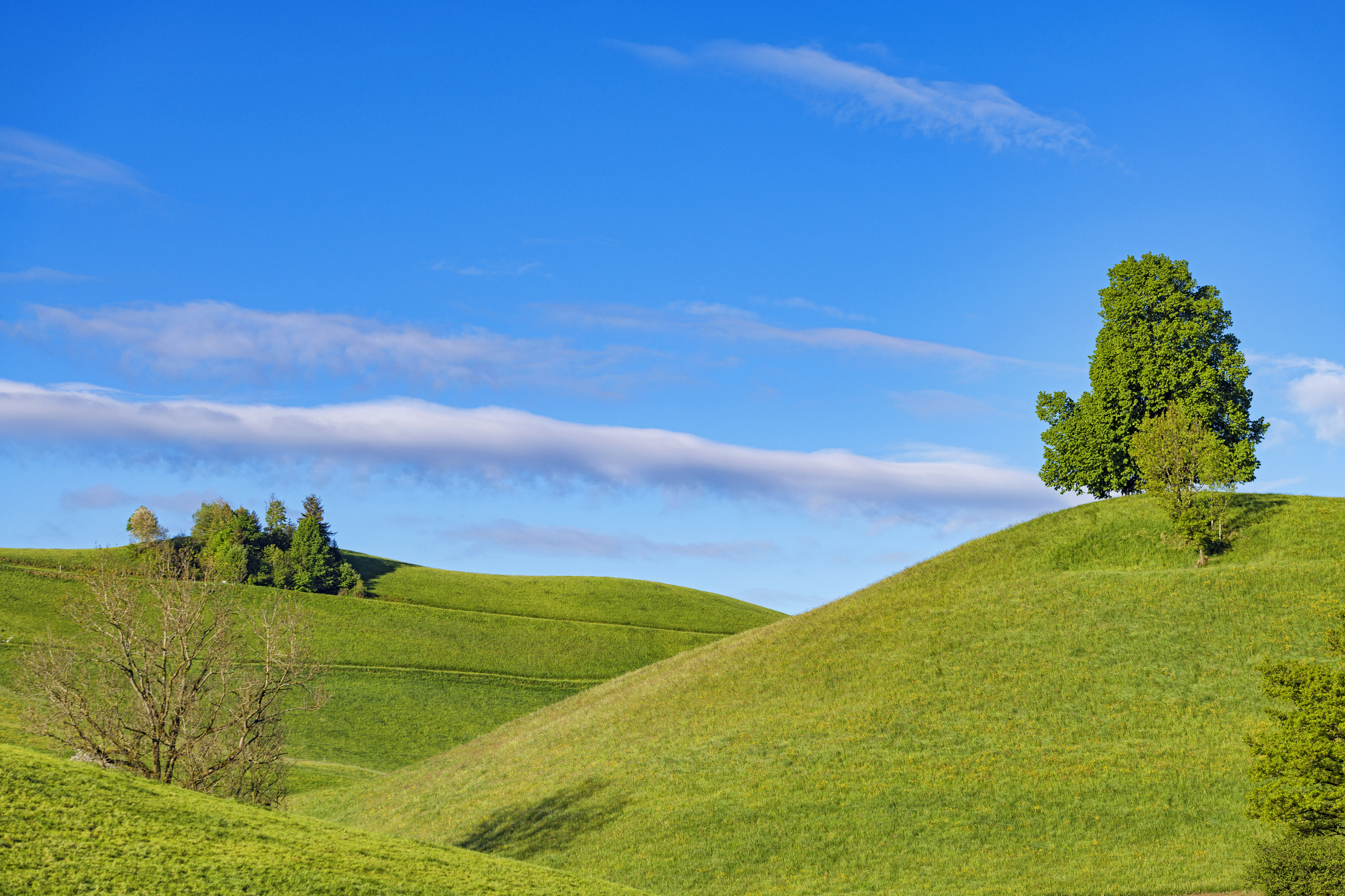 Desktop HD wallpaper: Nature, Grass, Sky, Minimalism, Hills, Slope free dow...