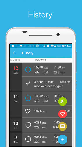 Screenshots of Accupedo: Pedometer program for Android phone or tablet.