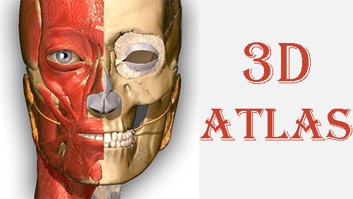 Laden Sie kostenlos Anatomie Lernen - 3D Atlas für Android Herunter. App für Smartphones und Tablets.