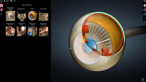Laden Sie kostenlos Anatomy learning - 3D atlas für Android Herunter. Programme für Smartphones und Tablets.