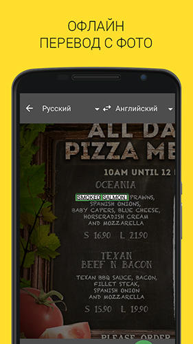 Screenshots des Programms Slovoed: English russian dictionary deluxe für Android-Smartphones oder Tablets.