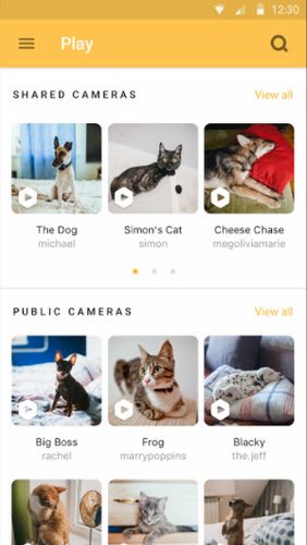 Screenshots of Petcube program for Android phone or tablet.