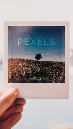 Laden Sie kostenlos Pexels für Android Herunter. App für Smartphones und Tablets.