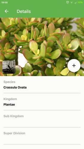 Screenshots of PlantSnap - Identify plants, flowers, trees & more program for Android phone or tablet.