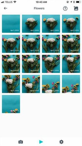 Aplicativo StoryZ: Photo motion & cinemagraph para Android, baixar grátis programas para celulares e tablets.