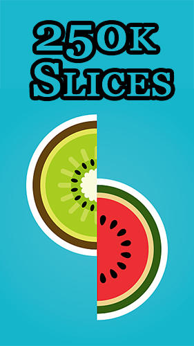 250k slices poster
