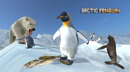 Arctic penguin poster