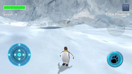 Arctic penguin screenshot 3