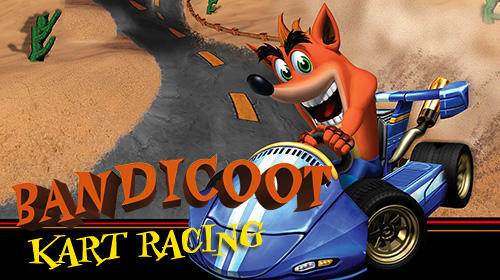 Bandicoot kart racing poster