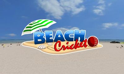 Beach Cricket poster