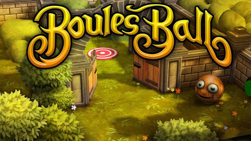 Boules ball poster