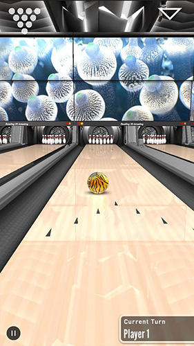 Bowling 3D master screenshot 1