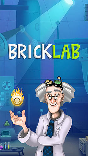 Brick breaker lab poster