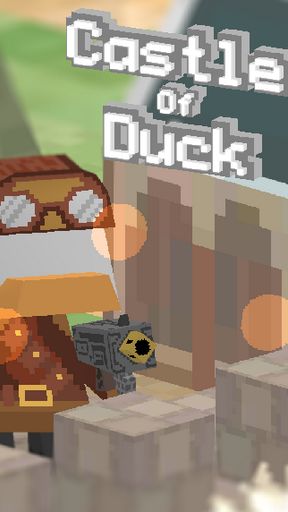 Castle of duck poster