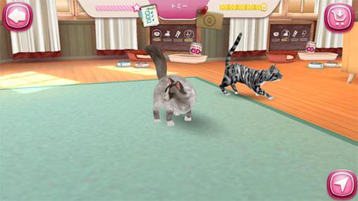 Cat hotel: Hotel for cute cats screenshot 2