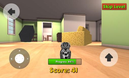 Cat simulator screenshot 1