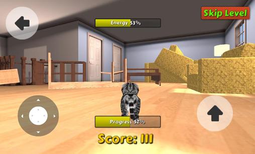 Cat simulator screenshot 2