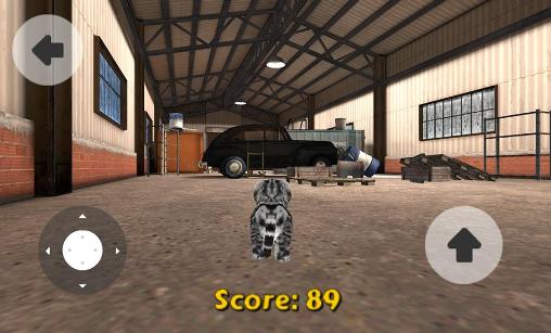 Cat simulator screenshot 3