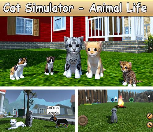 Картинки cat simulator animal life